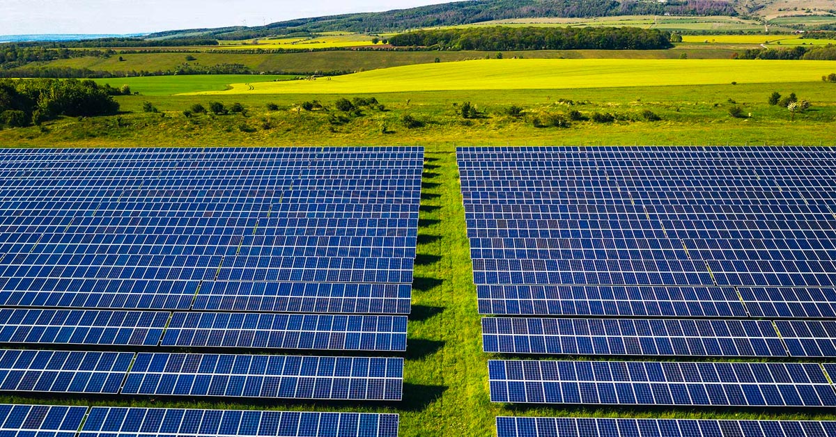 Solar panels set within a green landscape